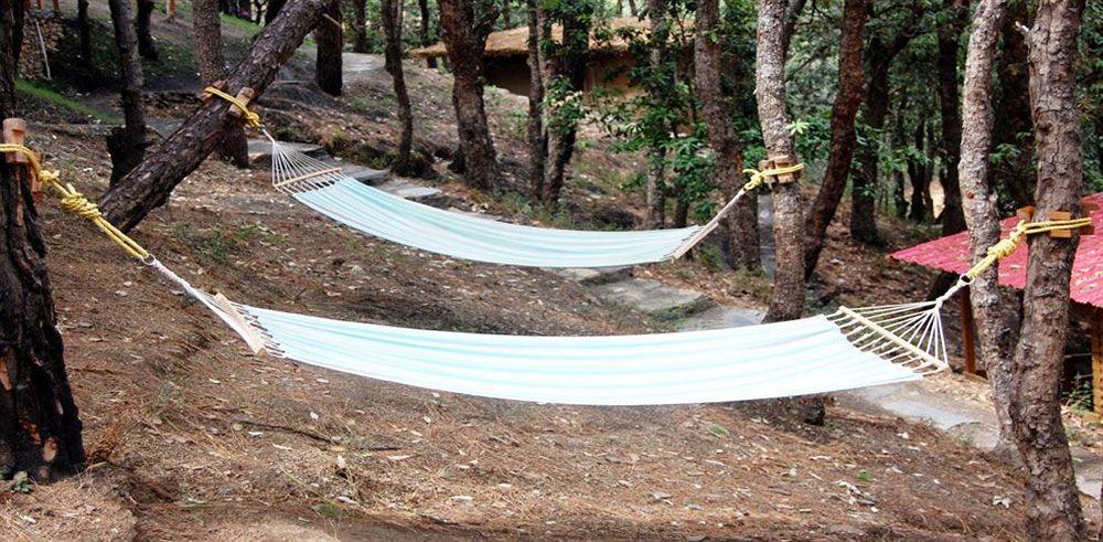 Aamod Resort Shimla Ngoại thất bức ảnh