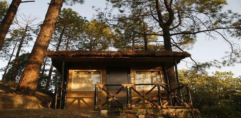 Aamod Resort Shimla Ngoại thất bức ảnh